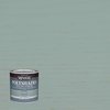 Minwax PolyShades Semi-Transparent Gloss Vintage Blue Oil-Based Polyurethane Stain and Polyurethane 214944444